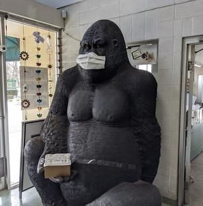 Meet your Posher, Sara